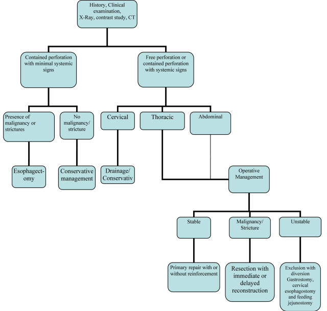 Management of Esophageal Perforation in Adults | Kaman ...